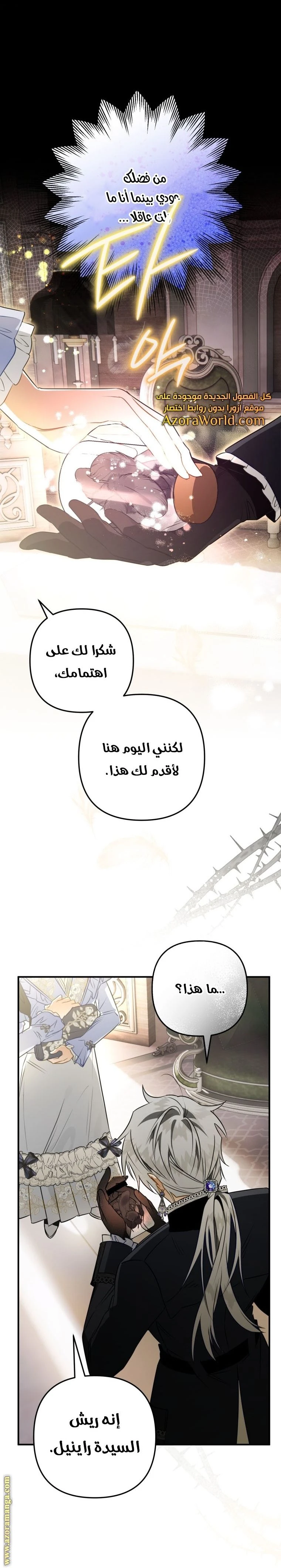 الصفحة 26