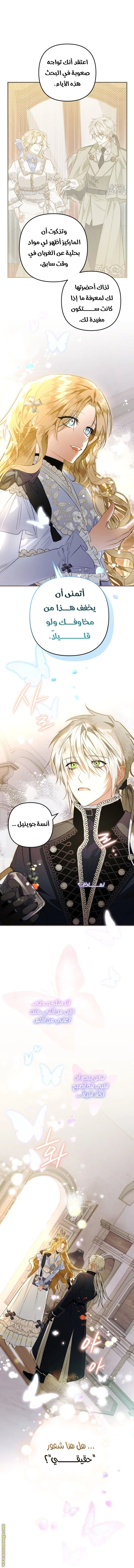 الصفحة 27