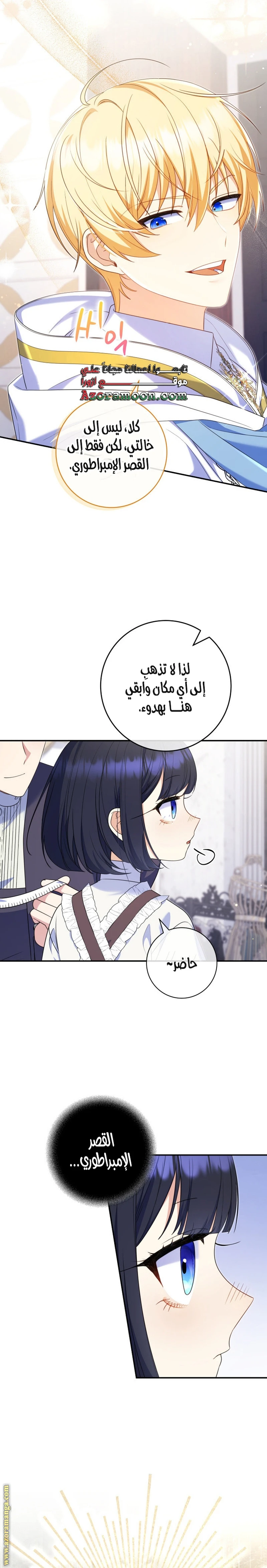 الصفحة 17