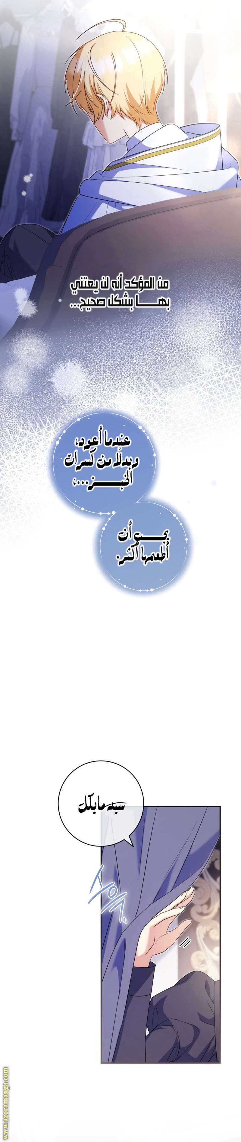 الصفحة 27