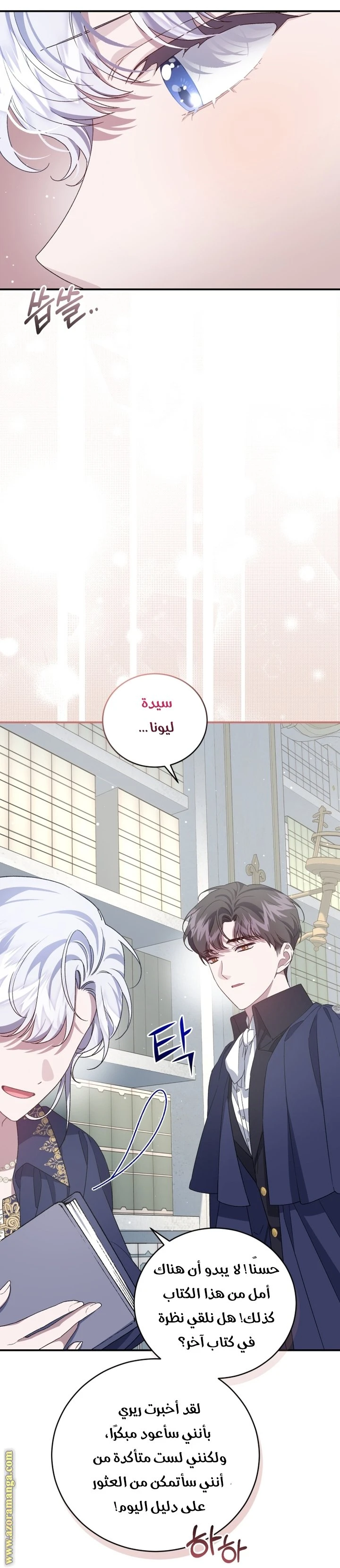 الصفحة 29