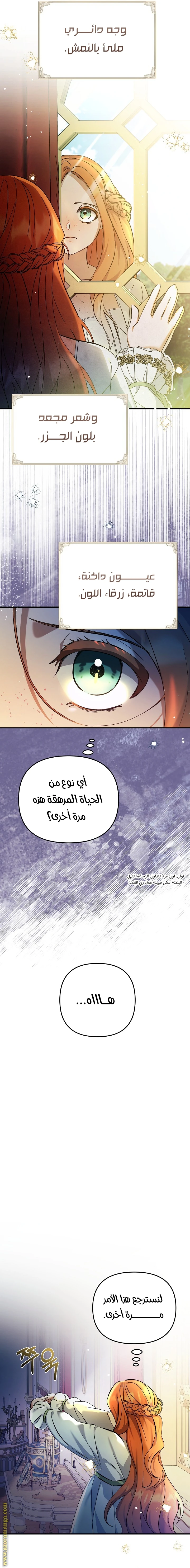 الصفحة 3