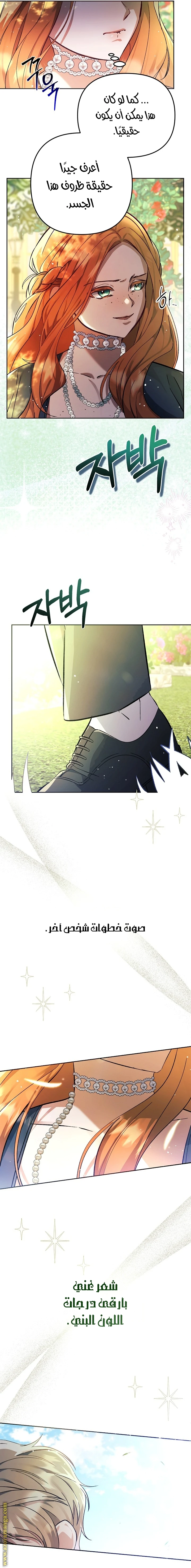 الصفحة 19