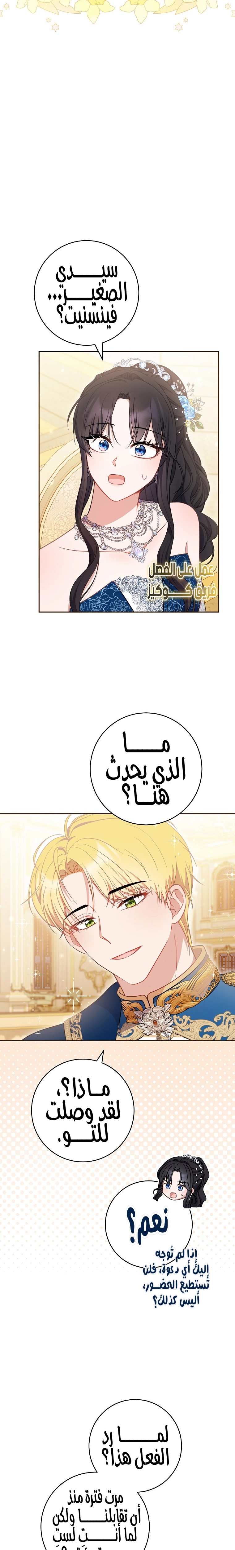الصفحة 17