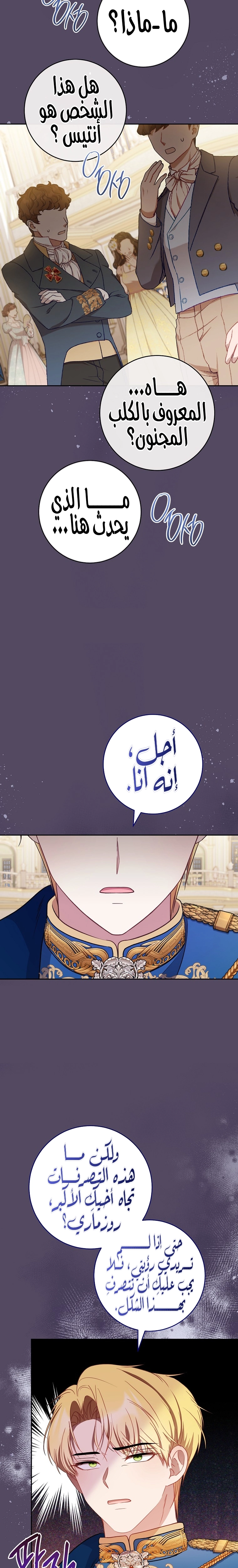الصفحة 19
