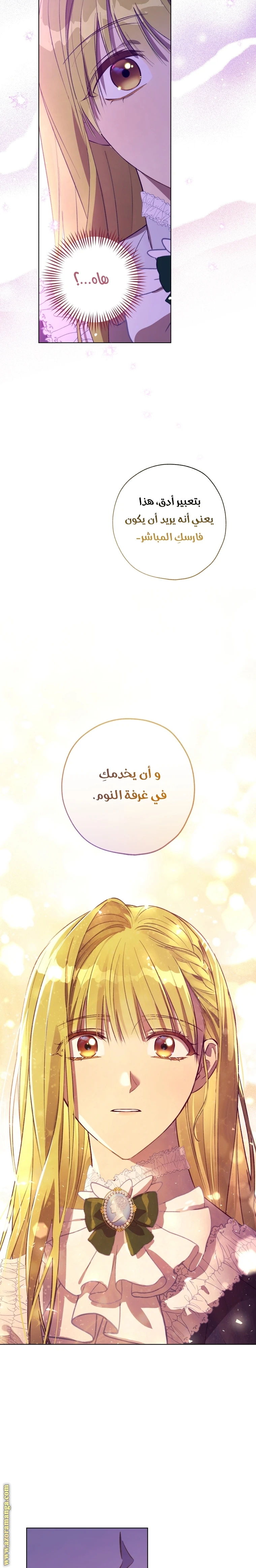 الصفحة 17