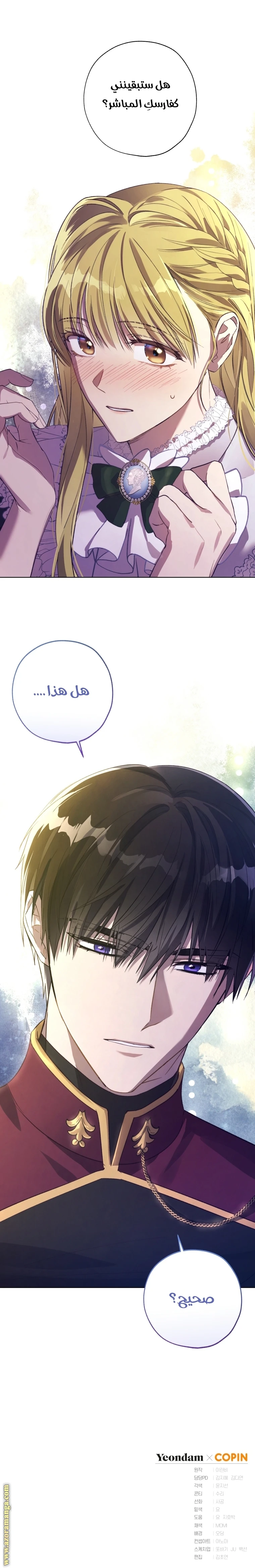 الصفحة 20
