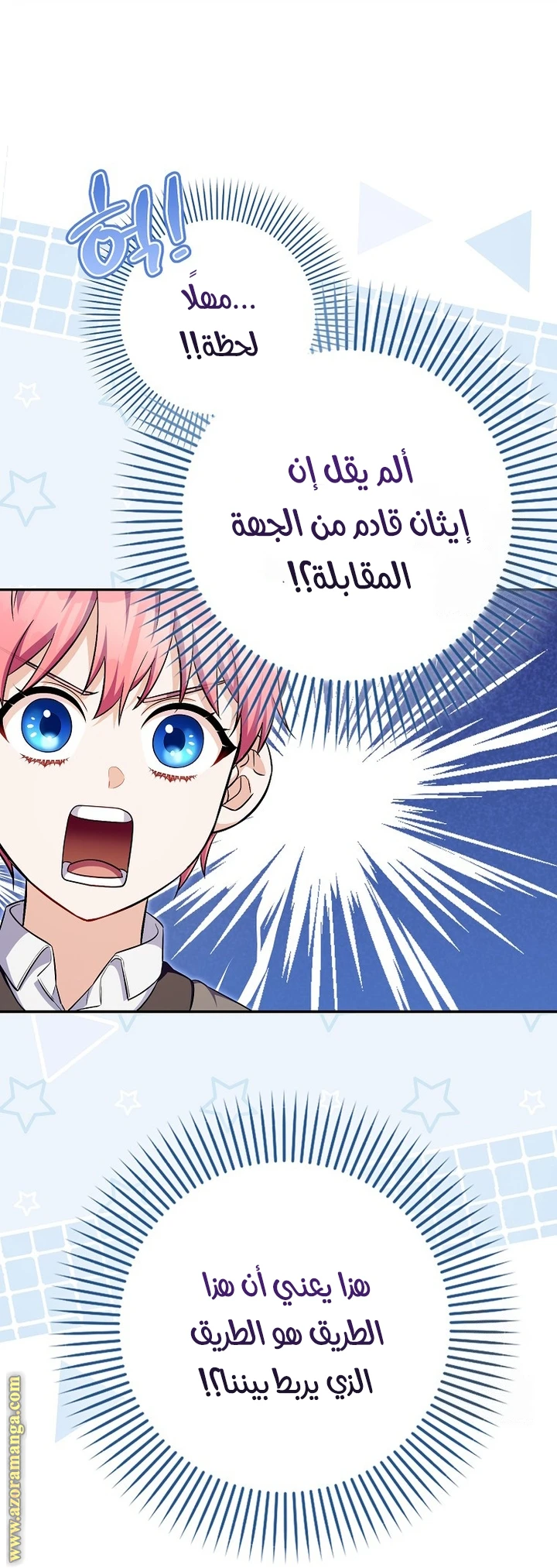 الصفحة 25