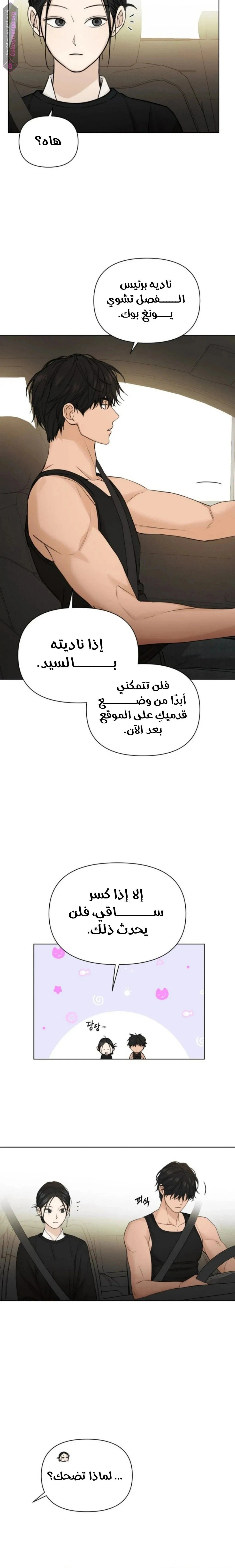 الصفحة 17