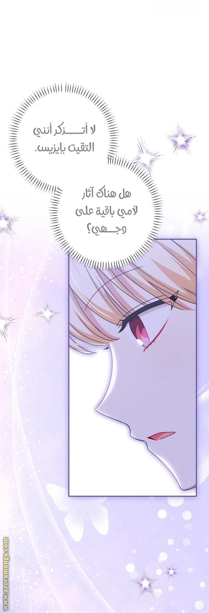 الصفحة 21