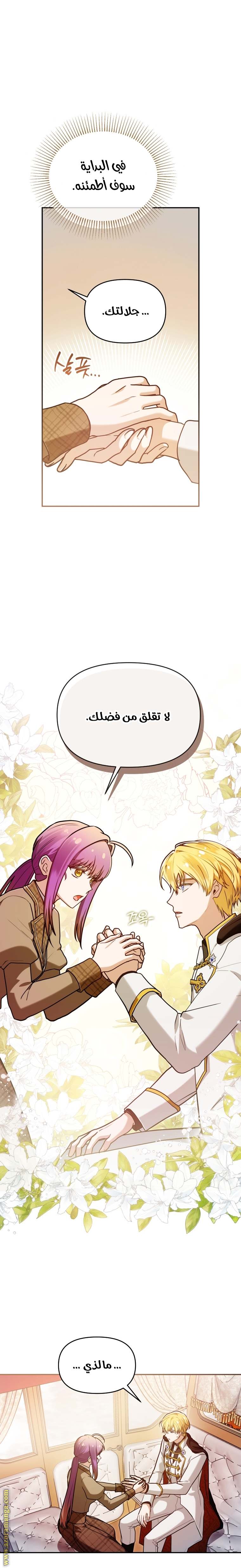 الصفحة 14