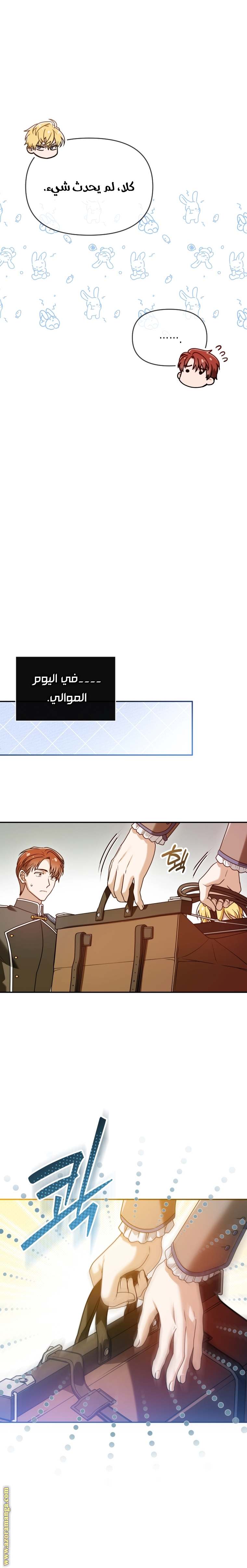 الصفحة 25