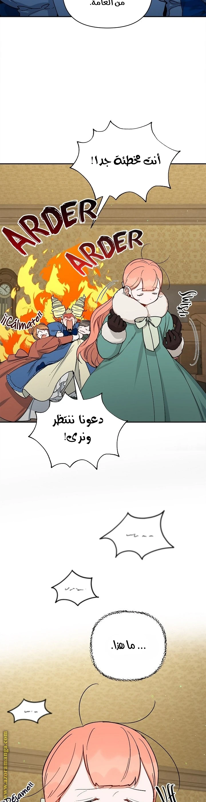 الصفحة 14
