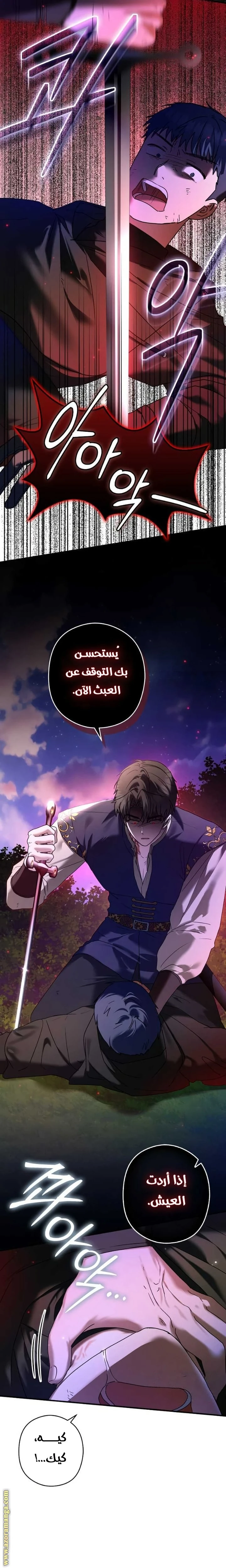 الصفحة 14