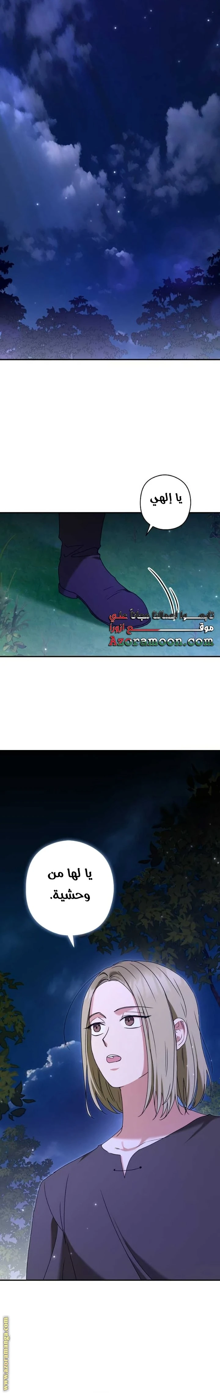 الصفحة 17