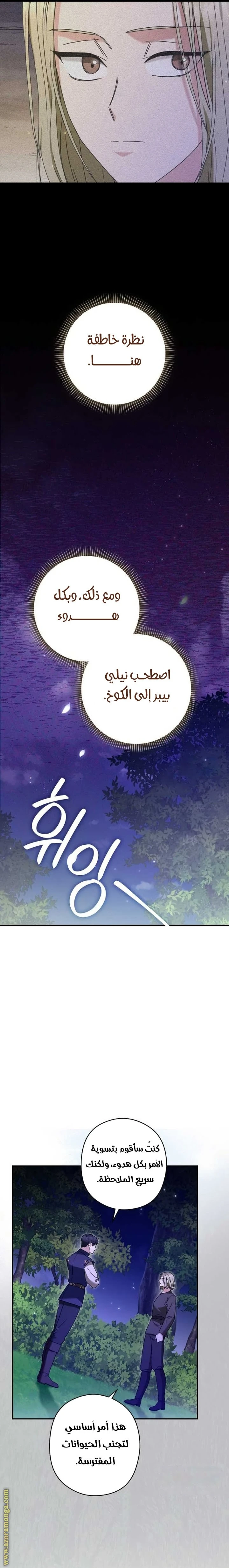الصفحة 19