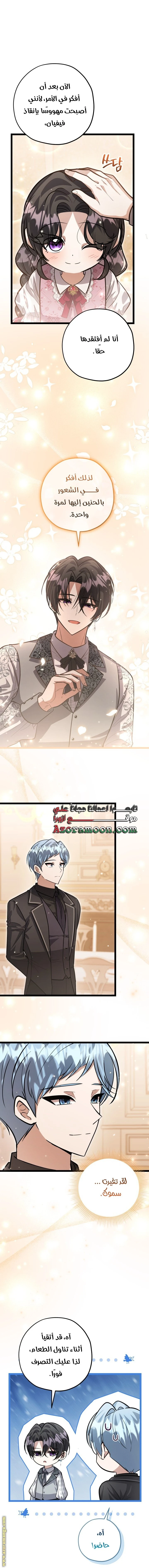 الصفحة 19
