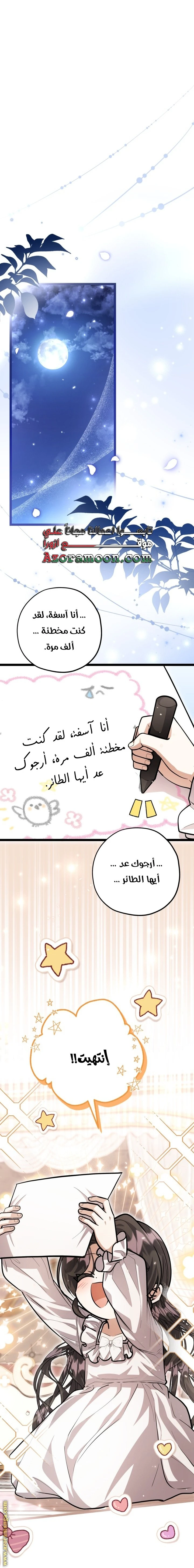 الصفحة 24