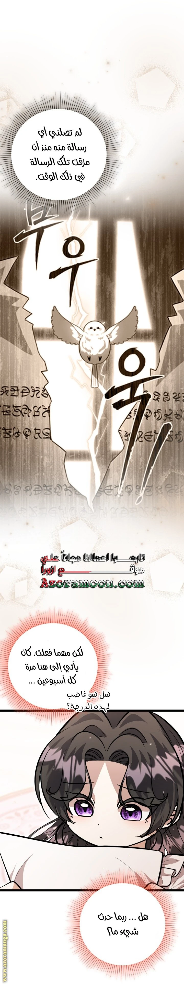 الصفحة 25