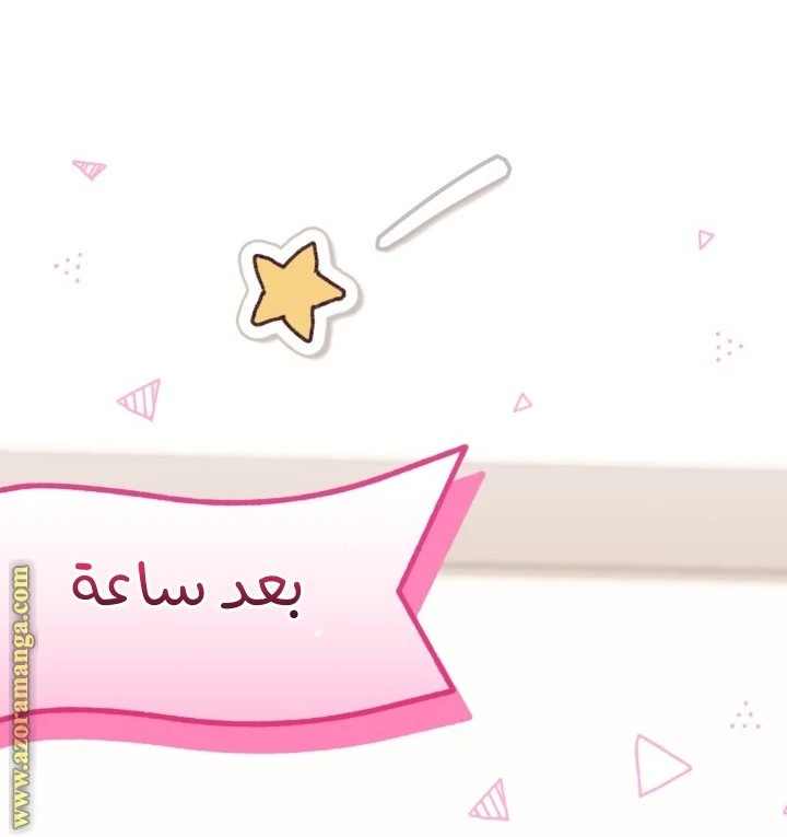 الصفحة 27