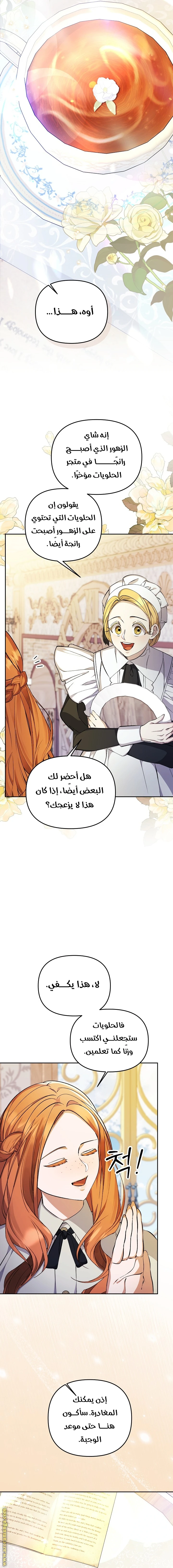 الصفحة 19