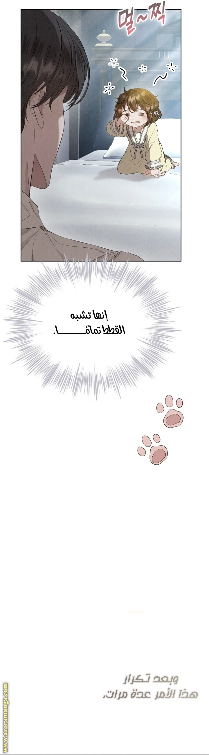 الصفحة 41