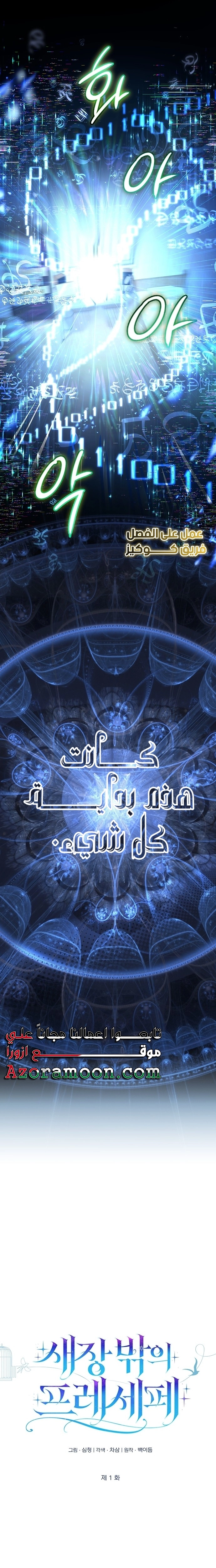 الصفحة 17