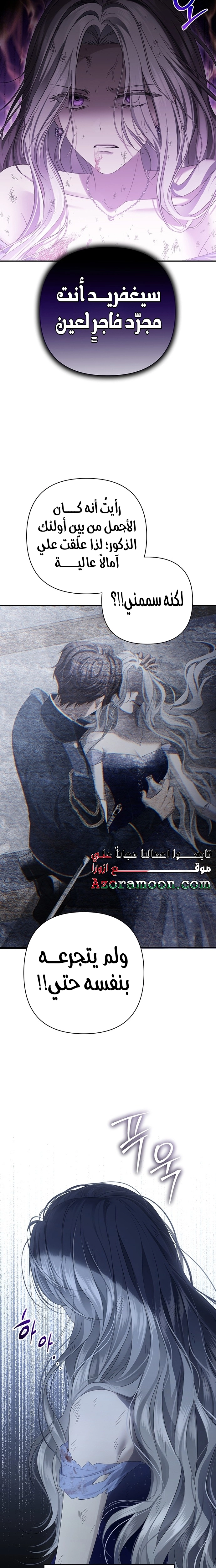 الصفحة 19