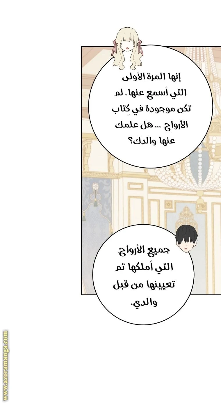 الصفحة 27