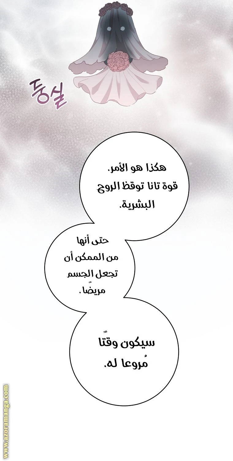 الصفحة 41
