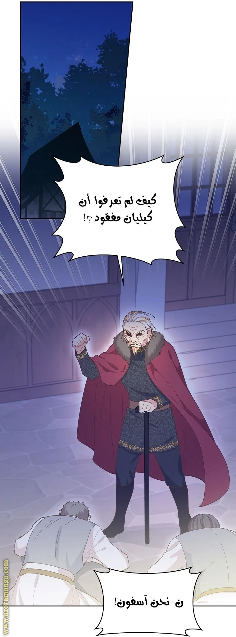 الصفحة 46