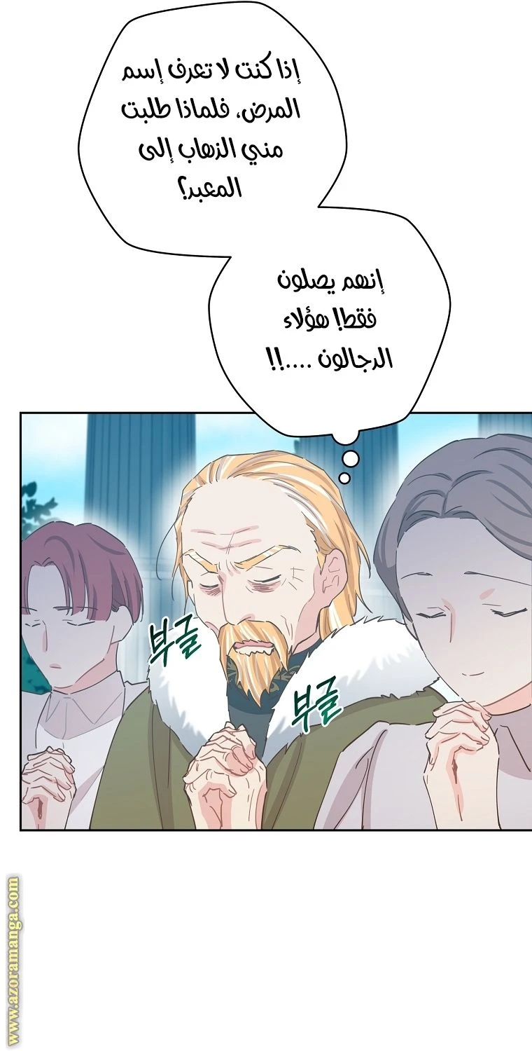 الصفحة 53