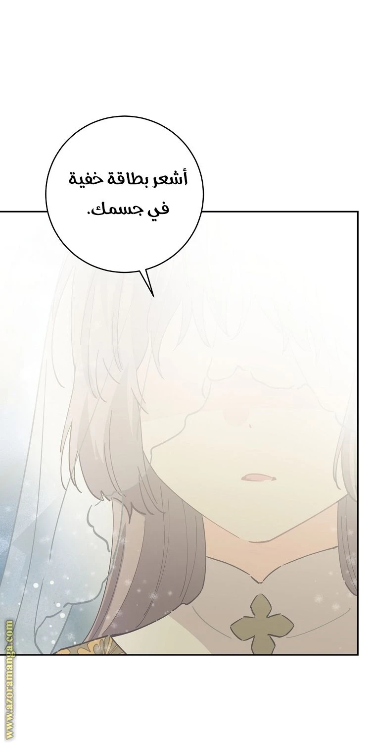 الصفحة 55