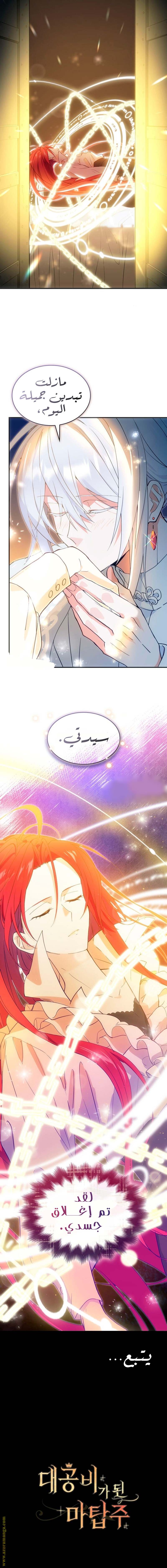 الصفحة 17