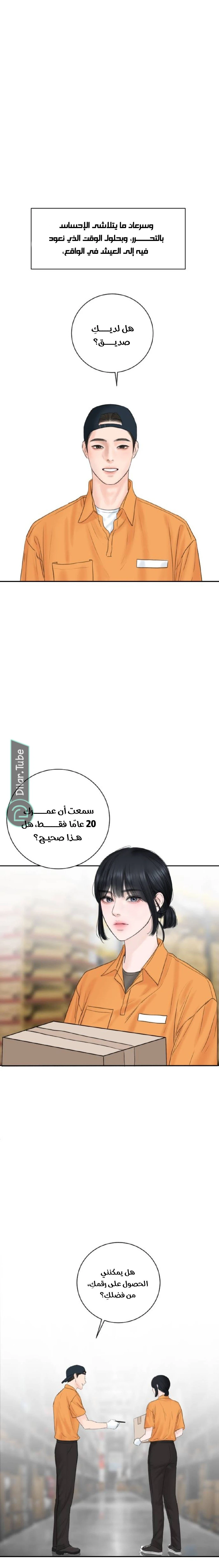 الصفحة 8