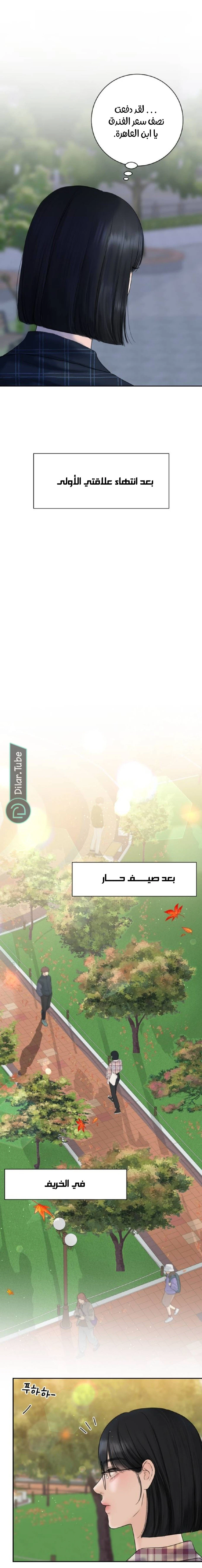 الصفحة 13