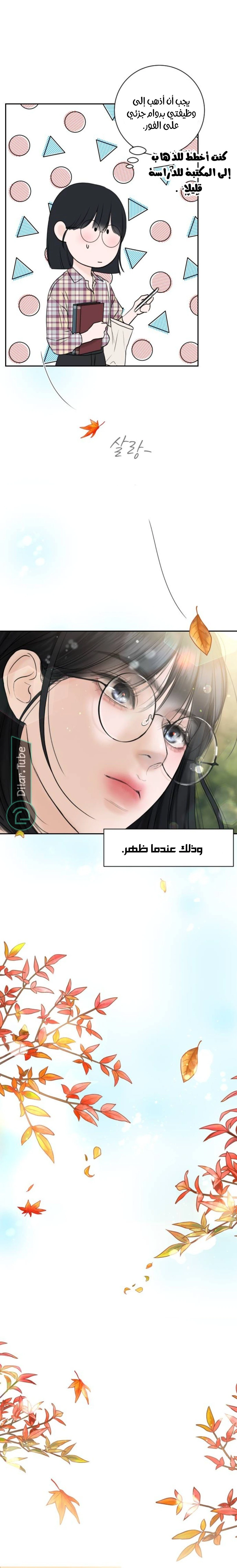 الصفحة 15