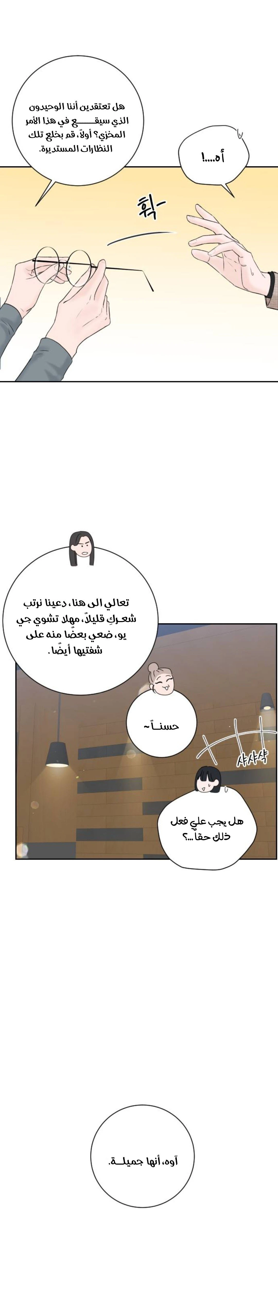 الصفحة 27