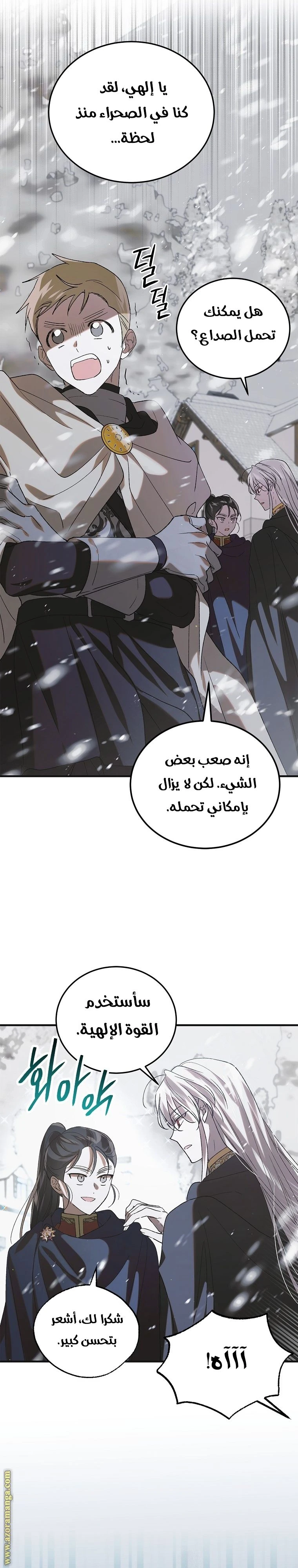 الصفحة 17