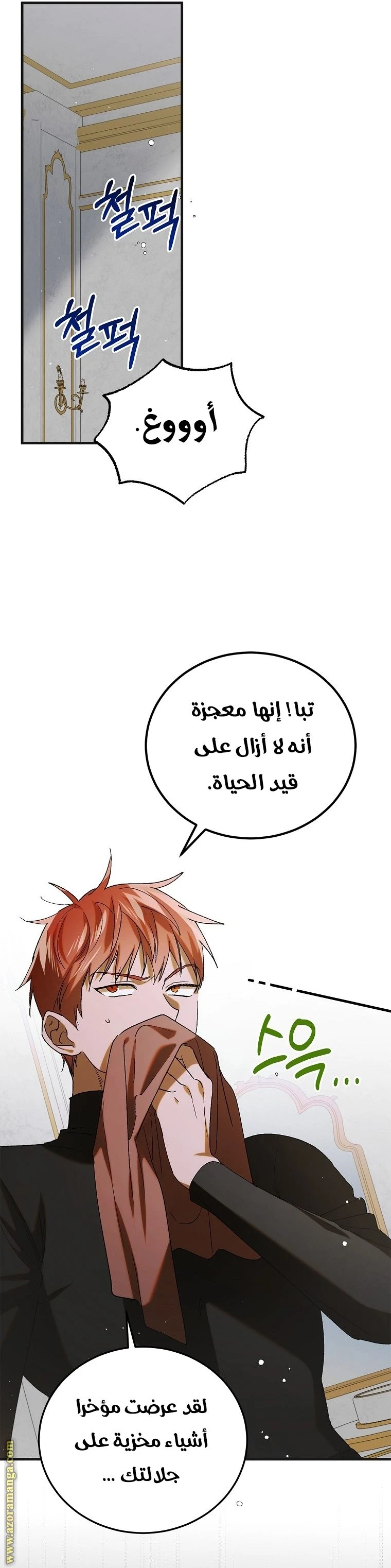 الصفحة 31