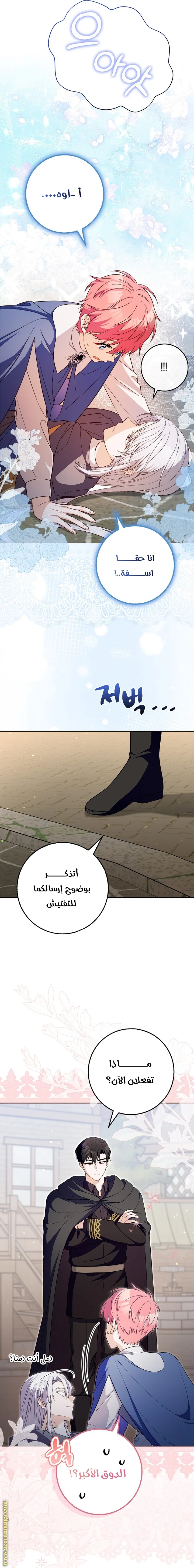 الصفحة 13