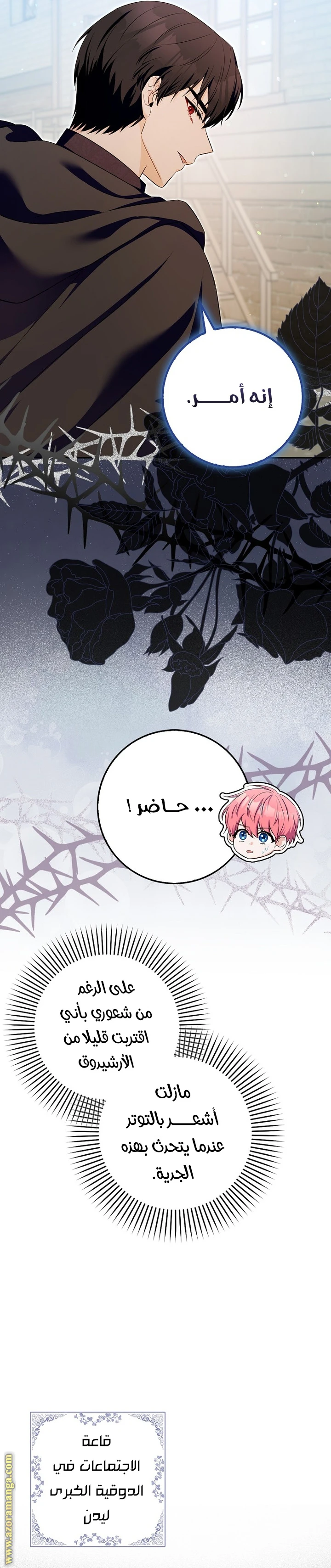 الصفحة 16