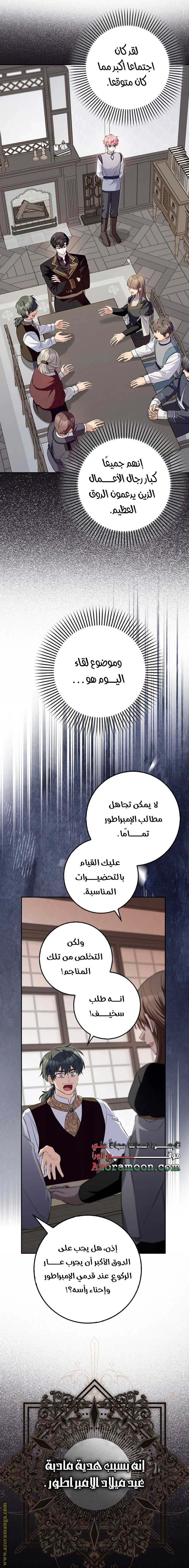 الصفحة 17