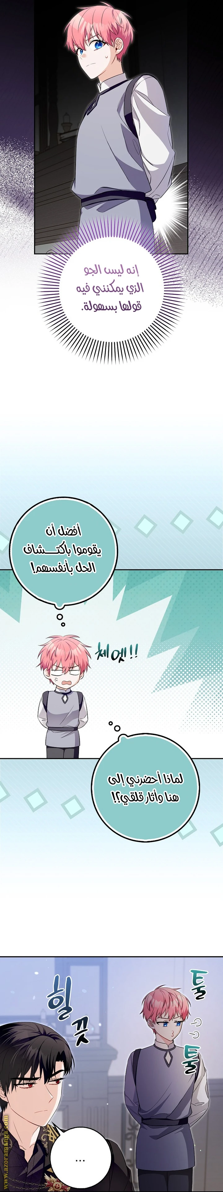 الصفحة 20