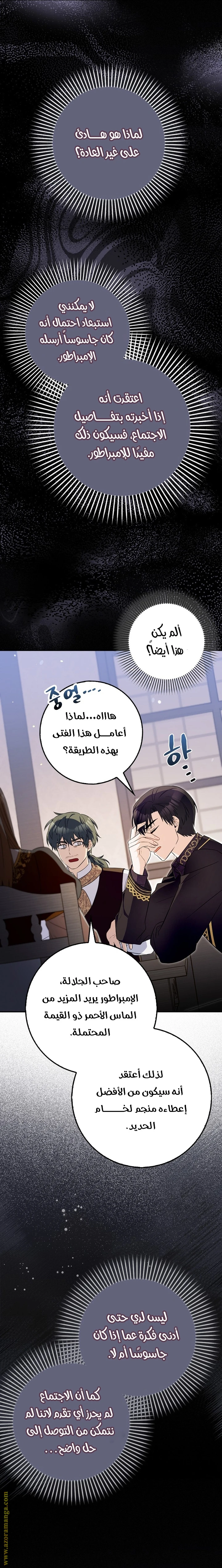 الصفحة 21