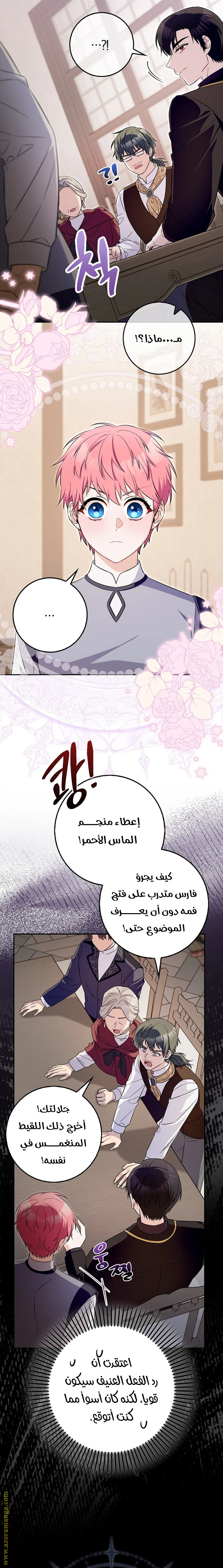 الصفحة 24