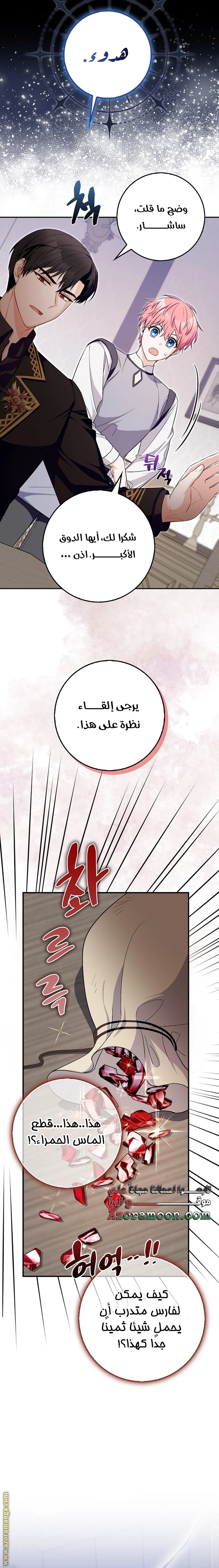 الصفحة 25