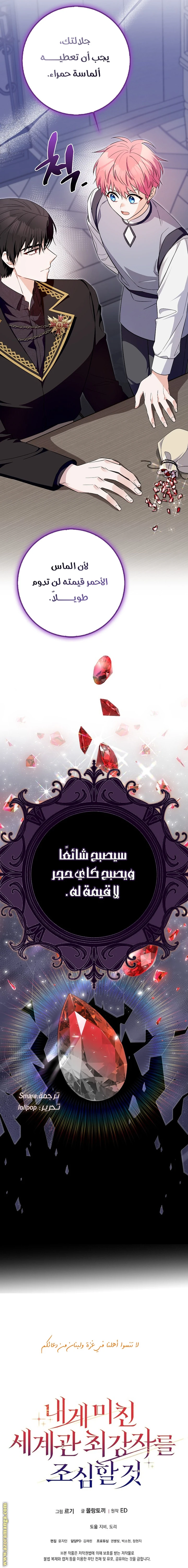 الصفحة 26