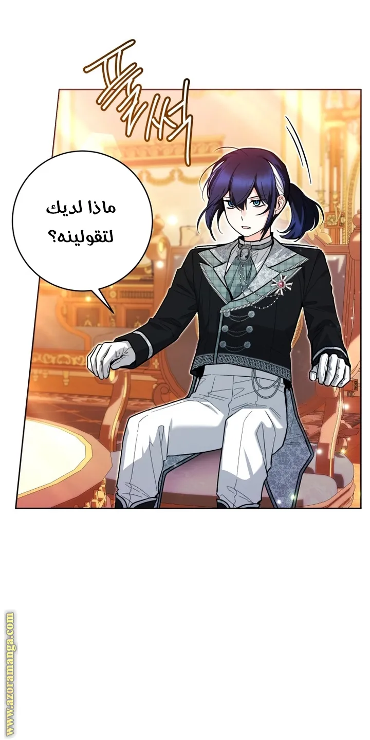 الصفحة 17