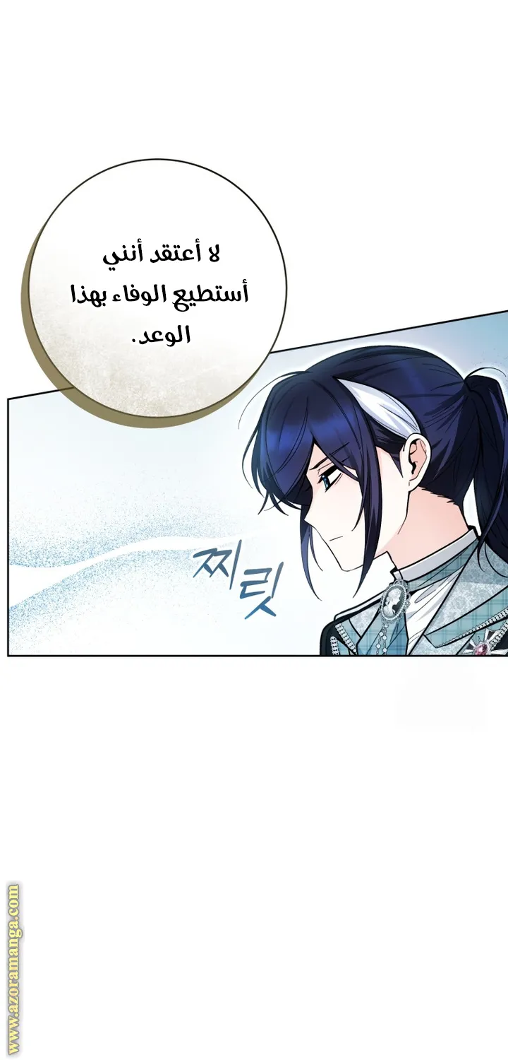 الصفحة 21